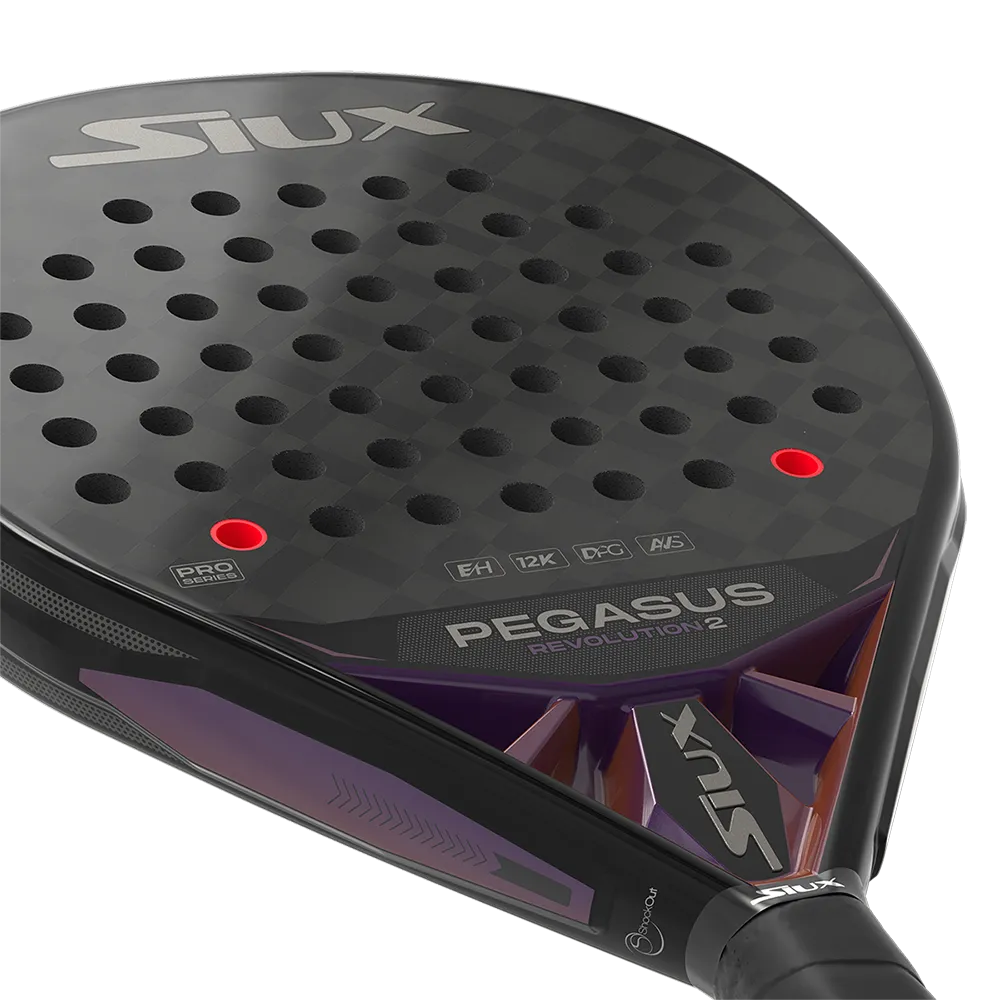 SIUX PEGASUS REVOLUTION 2 PRO