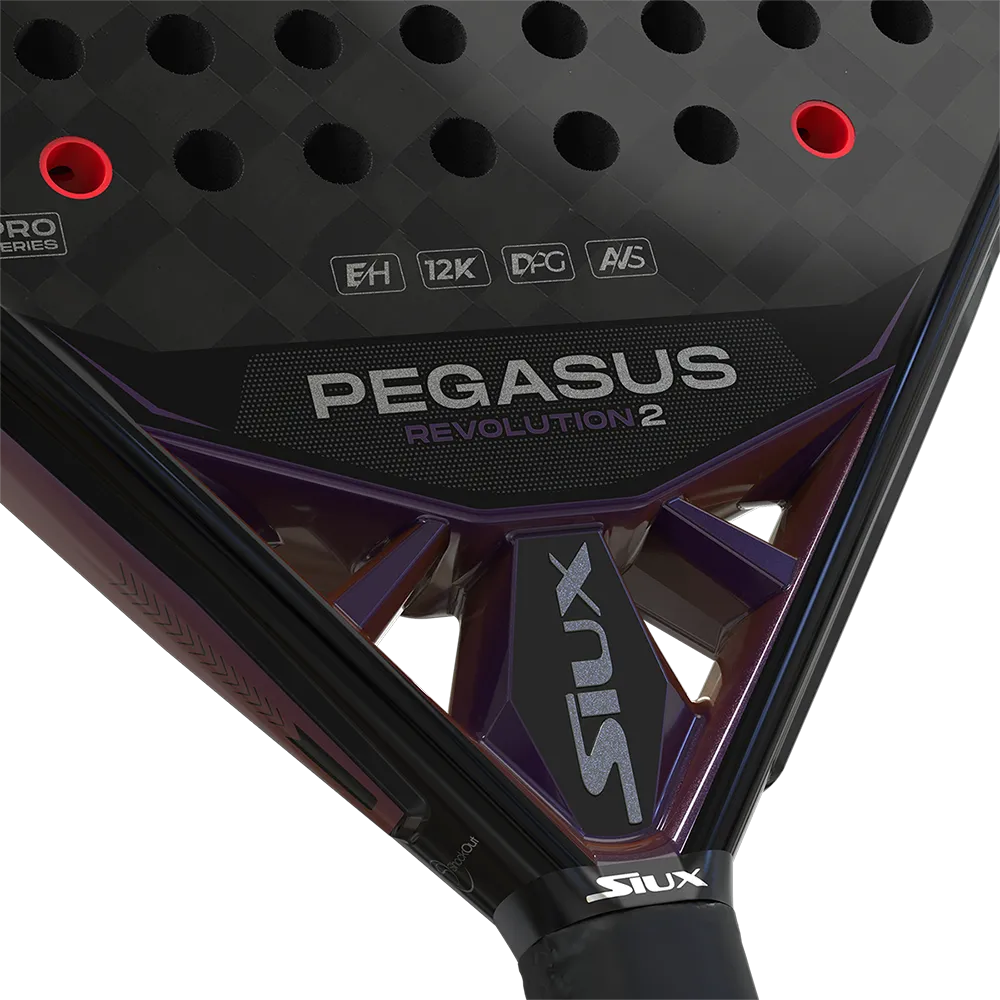 SIUX PEGASUS REVOLUTION 2 PRO